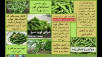 خواص لوبیا سبز