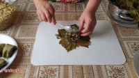 طرز تهیه دلمه با برگ انگور