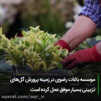 مؤسسه باغات آستان قدس قطب تولید گل و گیاه در کشور