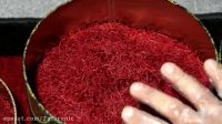 انواع زعفران انواع و اقسام زعفران