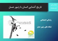 تاریخ آشنایی انسان با زنبور عسل