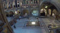 Timelapse of Dippy the Dinosaur being dismantled at the Natural History Museum