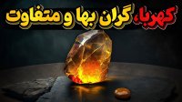 کهربا سنگی میلیون ساله از یک جاندار!