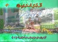 شیخ حامد شاکرنژاد سوره بلد گچساران