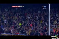 گل زیبای زلاتان 2