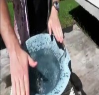 خاصیت جالب در مورد کاسه چینی