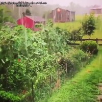 بارون بسیار زیبا