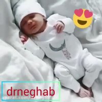 دکتر نصرت نقاب متخصص ناباروری و فلوشیپ IVF