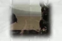 کلیپ زیبای طوفان شن