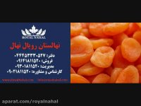 ارقام نهال زردالو 09141811520