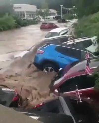 وقتی آرزوهات له میشن!