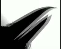 موزیک Arcadia از آپارات - آلبوم Walls