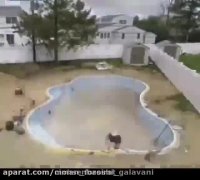 ساخت آسان استخر خانگی  - سیمان خوی و صوفیان عمده عزیز گلوانی 09144613267 -09146371554