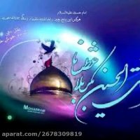 اشعار مذهبی -سر نعش حضرت قاسم - خواننده علی سیار