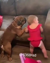 صداگذاری بامزه روی سگ صداگذاری یعقوب