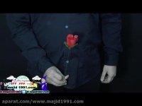 شعبده بازی تبدیل آتش به گل