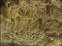 دیدنی های ایران غار علیصدر در همدان