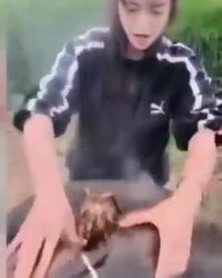 زنده به گور کردن حیوانات