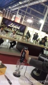 گوشتکوب برقی پرشیا