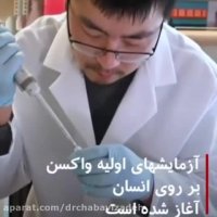 خبرهای خوب درباره ویروس کرونا