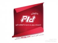 مستر پی ال جی نمایندگی استان البرز