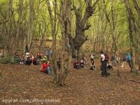 تور یک روزه جنگل الیمستان