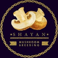 آموزش پرورش قارچ مهندس دلشاد 09120342573