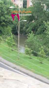 آهنگ رضا شیری تموم دنیام