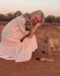 عشق کانگورو به نجات دهنده اش