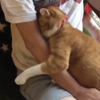 خواهشن اینو کالباس نکنید گناه داره .