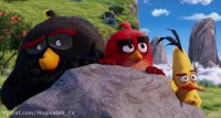دانلود انیمیشن پرندگان خشمگین &ndash; the angry birds 2020 با دوبله فارسی