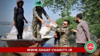 کمک به سیل زدگان استان خوزستان / موسسه ی خیریه ی شعف