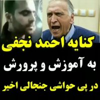 کنایه احمد نجفی به آموزش و پرورش در پی تجاوز در مدارس