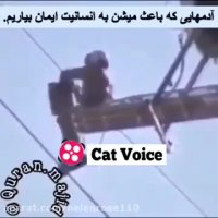 نجات پرنده درگیر در هوا توسط هلى كوپتر