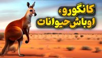 کانگورو قهرمان کیک بوکسینگ کشتی و بدنسازی!