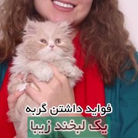 فواید داشتن گربه