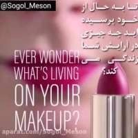 باکتری های زنده موجود در وسایل آرایشی