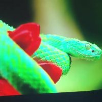 ویدئو پزوژکتور استوک Epson 1835