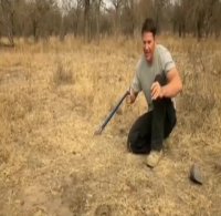 لحظه هیجان انگیز حمله مار به بادکنک پر از آب