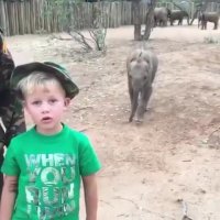 سریع میاد تا تو فیلم باشه