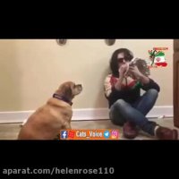 مجسمه سازى با كاغذ آلمینیوم ( صورت سگ )