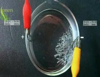 واکنش شیمیایی کریستال شدن قلع