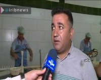 صادرات 75 میلیون دلار روده در سال 96