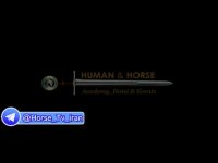 دانشگاه اسب و سوارکاری  - بخش اول