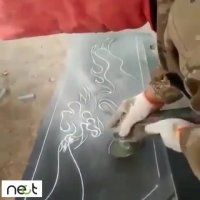 ‏تو این اوضاع ⁧‫#گرونی‬⁩ ⁧‫#سکه‬⁩ و ⁧‫#دلار‬⁩ و ⁧‫#ماشین‬⁩ بشینیم این ⁧‫#کلیپ‬⁩ سرشار از ⁧‫#هنر‬⁩ و ⁧‫#خلاقیت‬⁩ رو ببینیم شاید یکم یادمون بره ⁧‫#گوشت‬⁩ کیلو چند شده😃