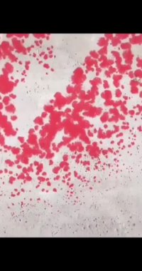 نقاشی خلاقانه