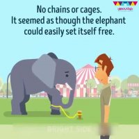 ⁣چند نفر از ما اعتقاد داریم دیگر قادر به انجام آن کاری نیستیم؟