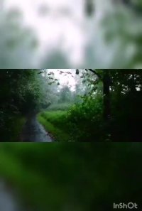 (Too khiaboon(ricado rahman rahim