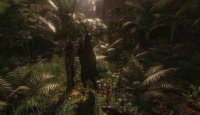 تریلر دسترسی بازی Green Hell منتشر شد