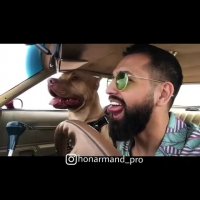 حرکت عجیب محسن افشانی